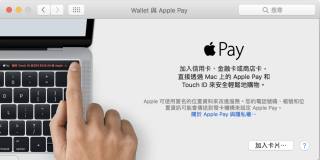 Apple Pay 设定信用卡界面，靓仔过其他界面好多啫…