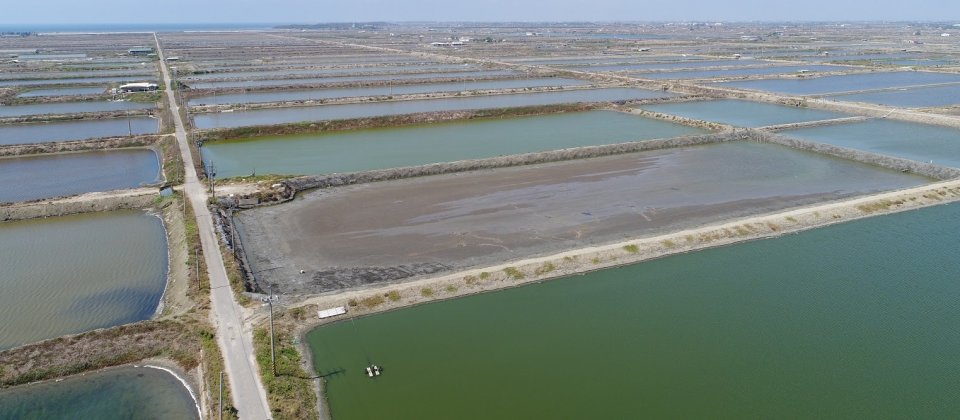 Google采购的再生能源将来自台南的养殖鱼塭架设4万个太阳能面板。