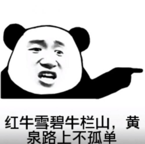 抖音红牛雪碧牛栏山熊猫头喝酒表情图 黄泉路上不孤单