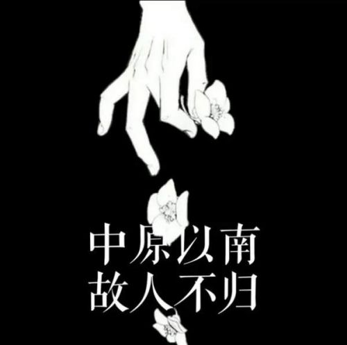 抖音中原以南故人不归、中原以北不知深情情侣头像图