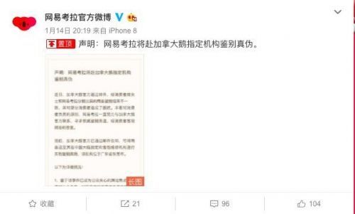 网易考拉微博发声明:称将赴加拿大鹅指定机构鉴别真伪