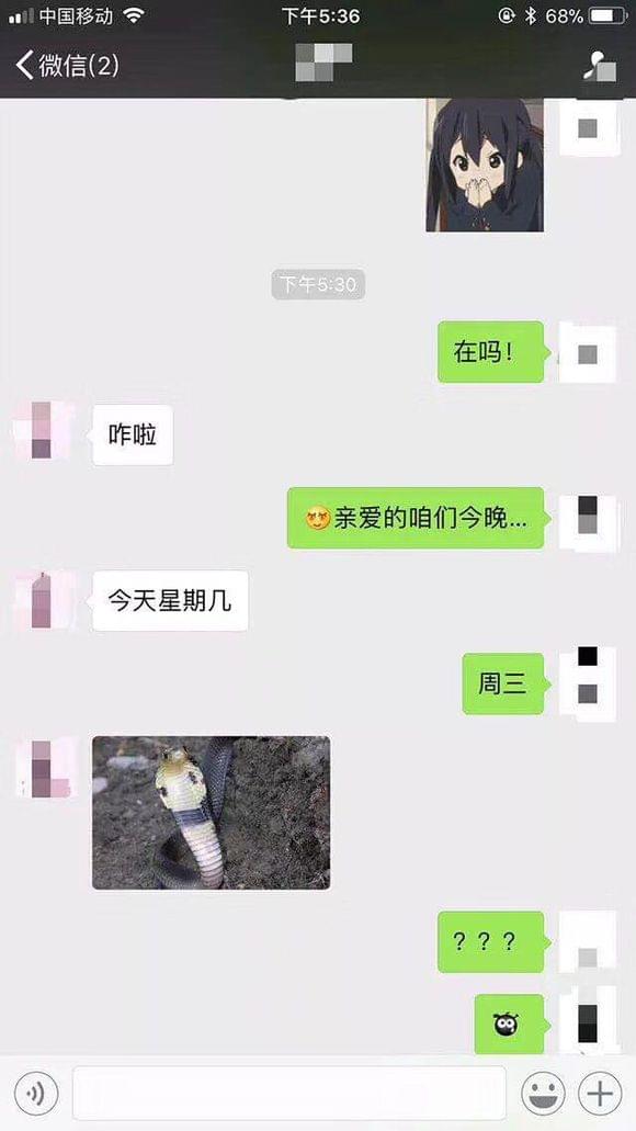 女的发眼镜蛇图是什么意思 周三眼镜蛇有何梗内涵介绍