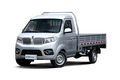金杯T30