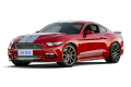 SHELBY GTE