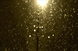美哭了雨伞界的劳斯莱斯 不仅防晒挡雨 而且颜值满分