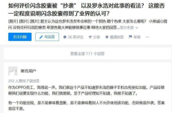 疑似OPPO内部员工回应抄袭事件 罗永浩是全天下最大地痞流氓