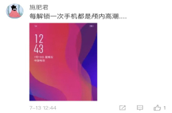 一升一降 仪式感十足、OPPOFindX的双轨升降结构引热议