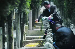 清明开启科学扫墓模式 请收下这份VR扫墓指南