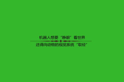 机器人想睁眼看世界还得向动物的视觉系统取经