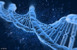 人类是否有第六感？它和量子力学又是什么关系？