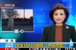 3名美国初二学生对一只跛脚鸭做出这事……感动了无数人