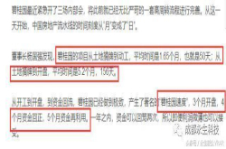 碧桂园可怕速度的背后