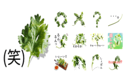 你超爱还是超恨？香菜也推出Line贴图
