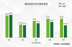 TDDI芯片大缺货触控双雄第三季业绩升温