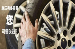 人在广东漂泊十年 而车震动了那么颠 今天才发现这原由