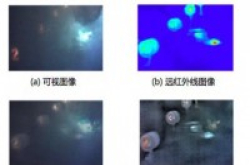 NEC与东京工业大学开发“多模图像融合技术”