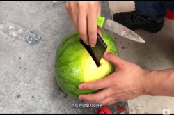 锤子坚果3暴力评测：西瓜和手机一起自由落体 结果……