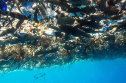 放进海里的扫地机器人 专吃海上垃圾 一次可清理360斤