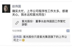 紫光股份公告：董事长赵伟国因工作繁忙辞职