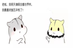 漫画：经典谷歌面试题扔鸡蛋 看看你会做吗？