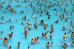 有点忧伤 76亿人类原来只占地球生物量的0.01%