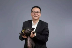 头可破 血可流斗图 不能输 小米和网易因为一头猪吵架了