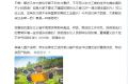 刘强东：未来三年京东将在东北三个省投资数十亿到百亿人民币