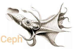 Ceph存储后端ObjectStore架构和技术演进