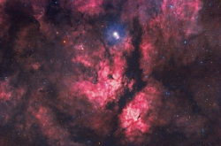 【Starspotting】天鹅心中的蝴蝶