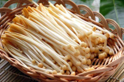 科学家发现 金针菇实际上是新物种 在自然界中很难找到它的身影