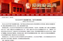 真伤心了 称小米公司不守与雷总聚餐承诺米粉起诉要求赔偿