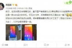 国产ODM柔性全面屏手机曝光:6英寸18:9