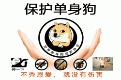 转发这个单身狗粮 你的朋友马上就会变成单身狗