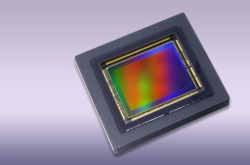 Canon示范1.2亿像素CMOS威力 球场广角镜看清每个球迷样貌