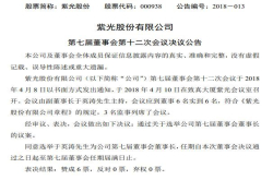 于英涛接棒赵伟国担任紫光股份董事长