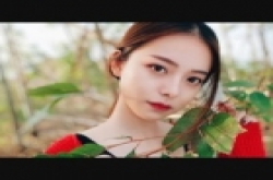 专业摄影师实测美图手机美图V6：双摄虚化效果太惊艳