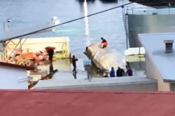 冰岛捕鲸公司捕杀濒危物种蓝鲸并把鲸肉出口到日本