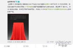 锤子科技鸟巢发布会罗永浩放言：王自如你别来了