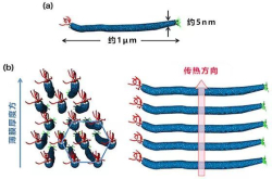 利用病毒制作导热膜——只需室温干燥便可获得