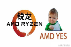 AMDYES是什么意思？AMDYES是什么梗？