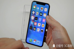 用液体玻璃给iPhoneX做的手机壳只能看不能用最终被砸了