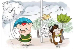 侃哥：疑似小米7真机曝光看看就得了别认真