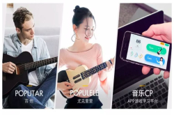 目标成为一家软硬双端营收的音乐科技公司 视感科技推社群化运营产品音乐CP