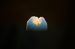 雀，全部都系雀！英摄影师赢得BirdPhotographeroftheYear
