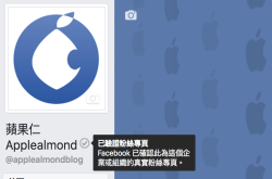 有听过FB的灰勾勾吗？除了蓝勾勾，如何向Facebook申请公司认证“灰勾勾”教学