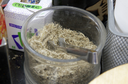 [面白日本]比泡面还快！这种白昆布放到水里加点葱花，立刻完成日式高汤！