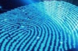 全面屏幕将至Synaptics推屏下指纹识别技术