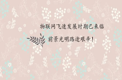 物联网飞速发展时期已来临 前景光明路途艰辛
