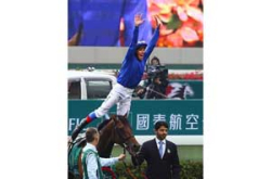 巾帼二连胜！ComesAlive12.12“气势尽放”马场摄影比赛结果公布