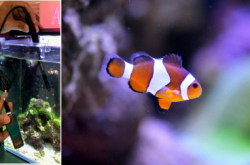 海水水族箱盐度自动调节系统（一）